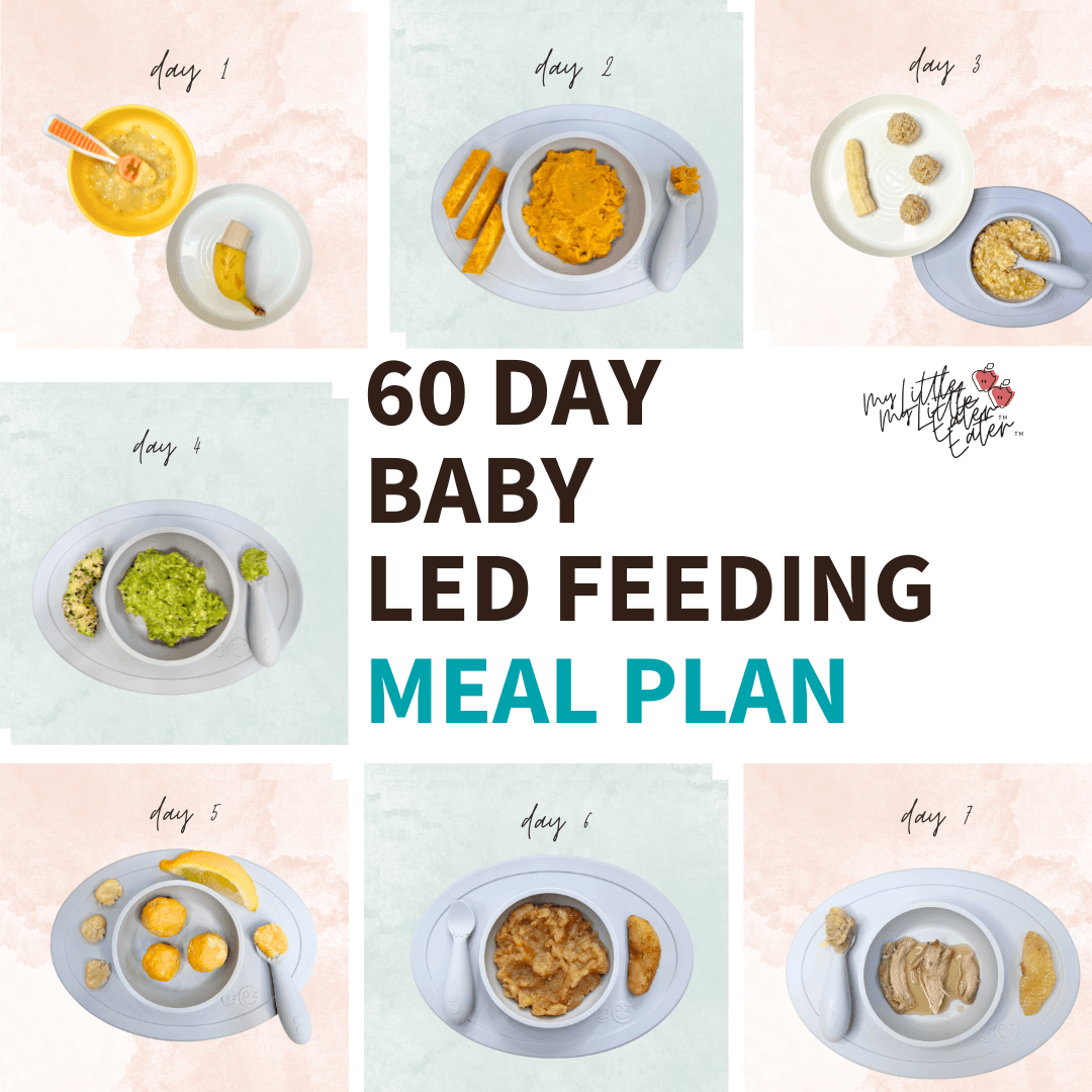 60 Day Baby Led Feeding Meal Plan