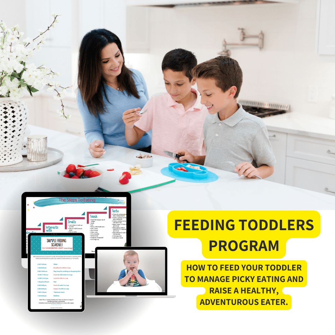 Toddler Program - 1 Year Access